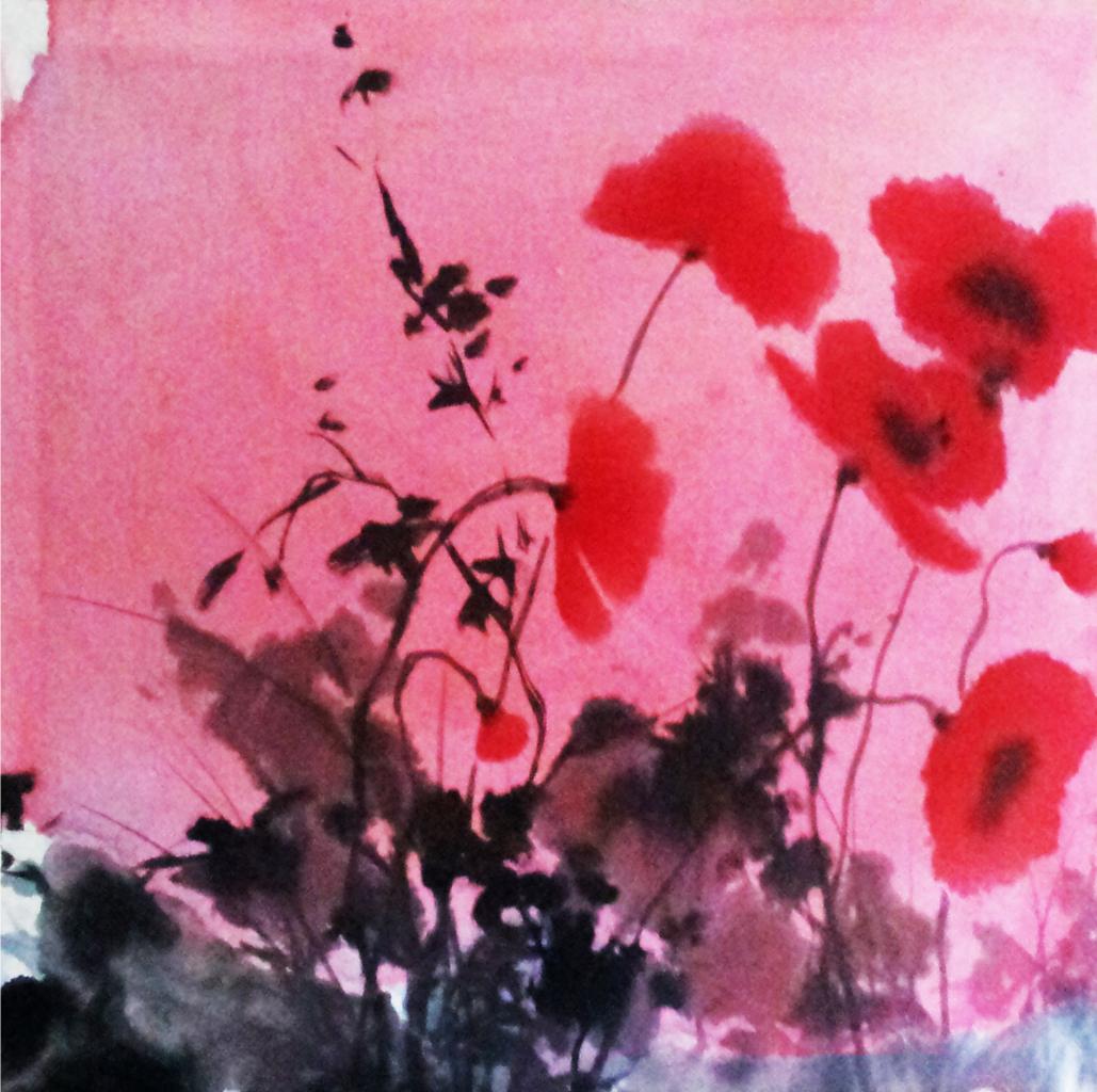 coquelicot aureole 3