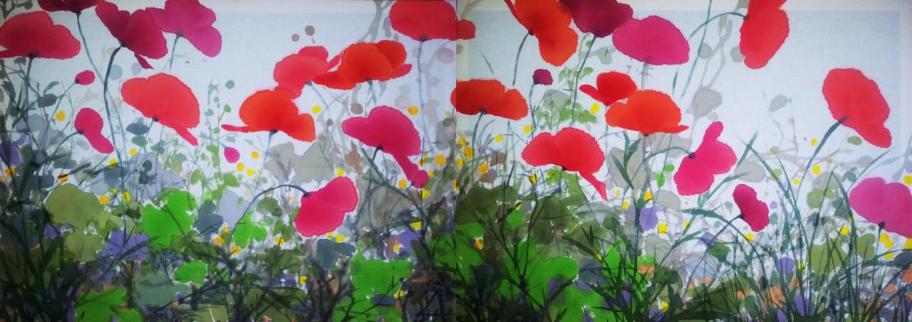 coquelicots etendues dyptique