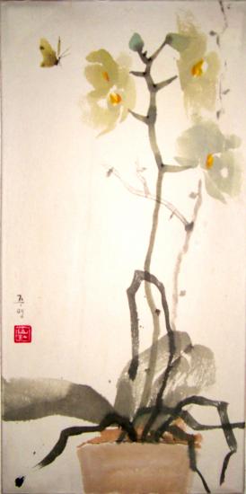 orchidée