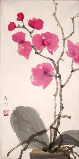 orchidée