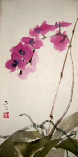 orchidée